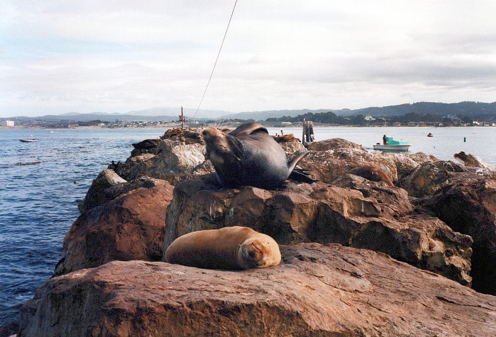 1997 - USA 02 (Monterey).jpg